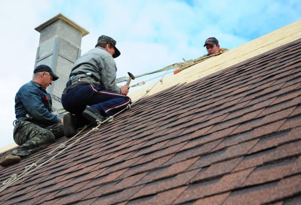 Quick and Trustworthy Emergency Roof Repair Services in Ashland, NE